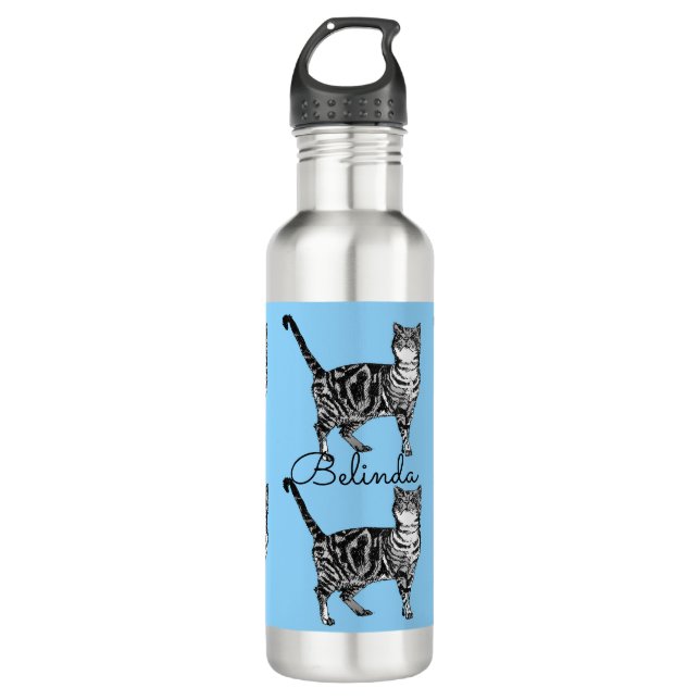 Tabby Cat Whimsical Light Blue Cats Stainless Steel Water Bottle (Front)