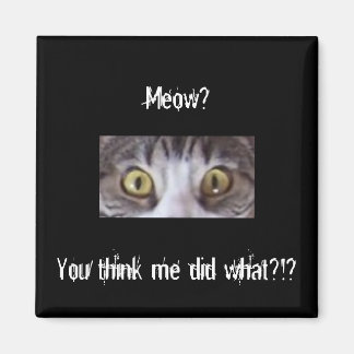 Tabby cat wide eyes magnet