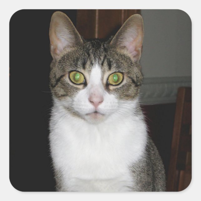 Tabby cat with big green eyes square sticker (Front)