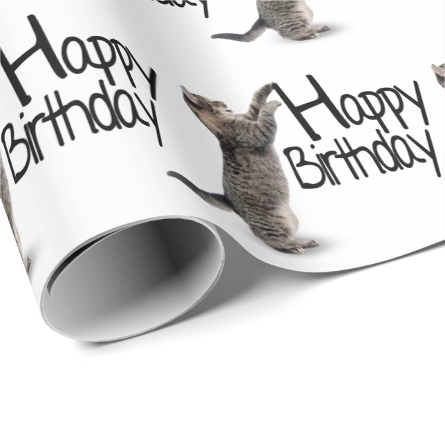 Tabby Cat with Birthday Text Wrapping Paper (Roll Corner)