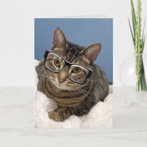tabby cat with eye glasses card