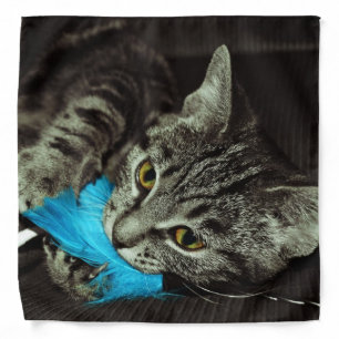 Tabby Cat with Feather by Shirley Taylor Bandana