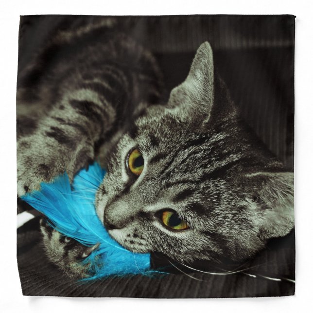 Tabby Cat with Feather by Shirley Taylor Bandana (Front)