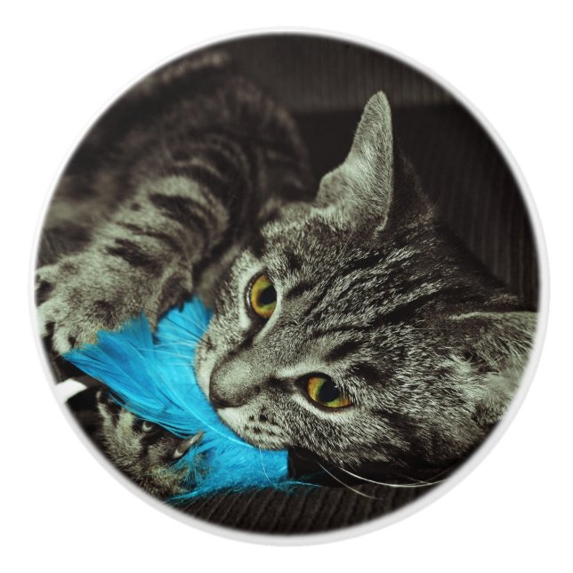 Tabby Cat with Feather by Shirley Taylor Ceramic Knob (Front)
