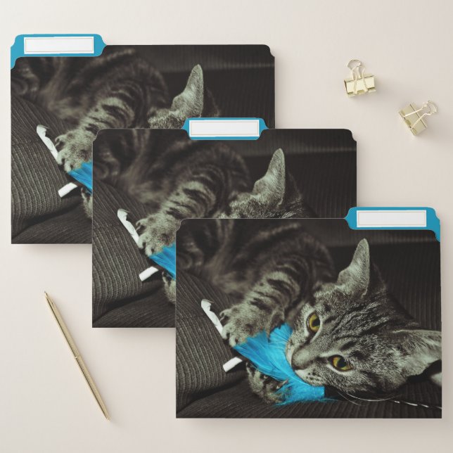 Tabby Cat with Feather by Shirley Taylor File Folder (Set)