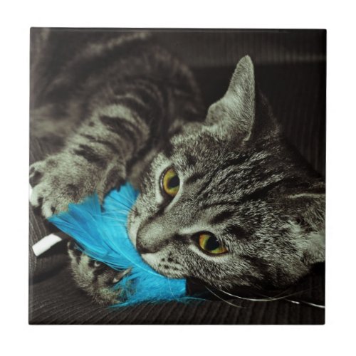 Tabby Cat with Feather by Shirley Taylor Tile