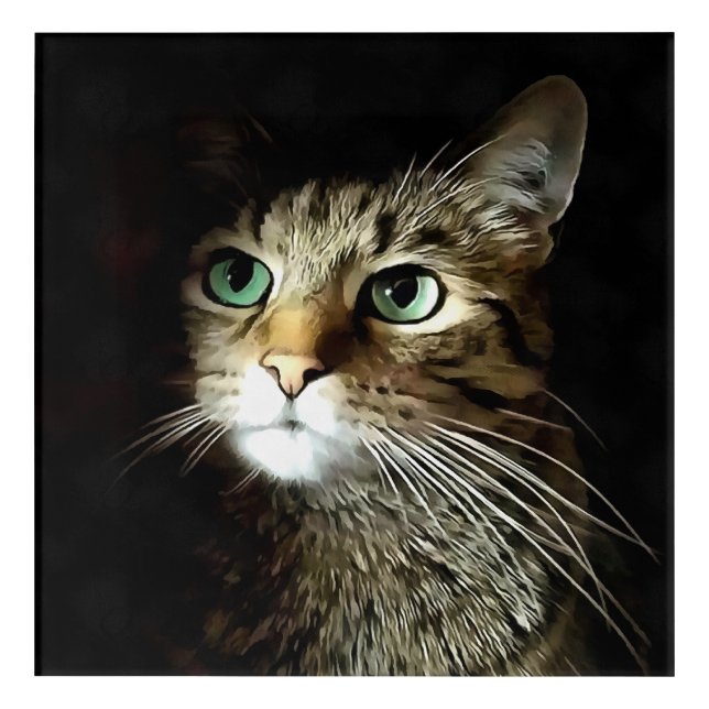 Tabby Cat With Green Eyes Isolated On Black Acrylic Print (Front)