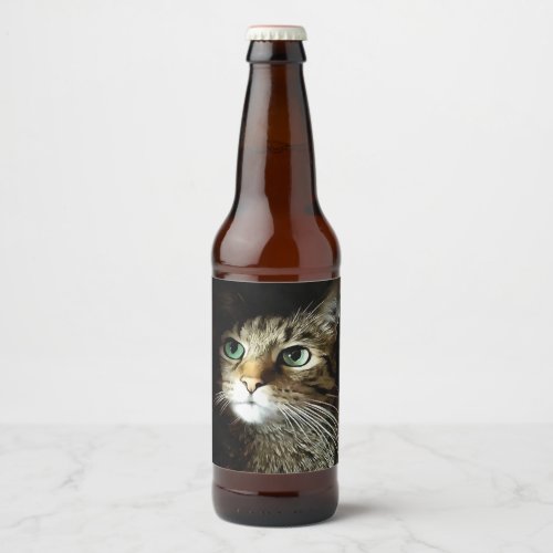 Tabby Cat With Green Eyes Isolated On Black Beer Bottle Label