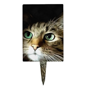 Tabby Cat With Green Eyes Isolated On Black Cake Topper