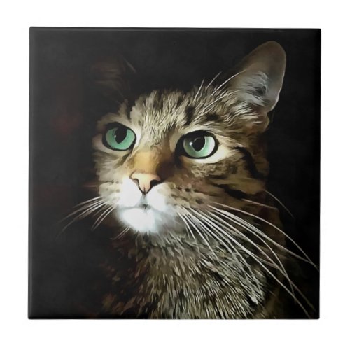 Tabby Cat With Green Eyes Isolated On Black Ceramic Tile