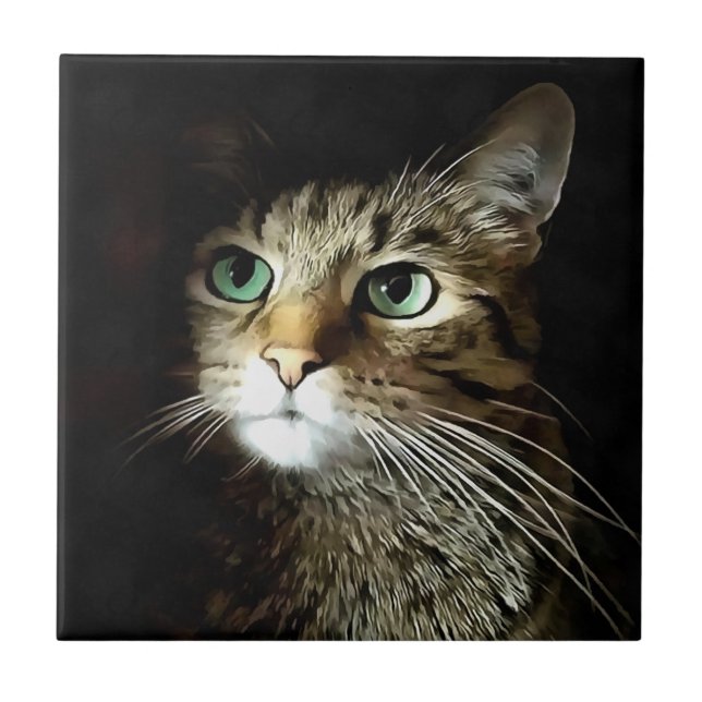 Tabby Cat With Green Eyes Isolated On Black Ceramic Tile (Front)