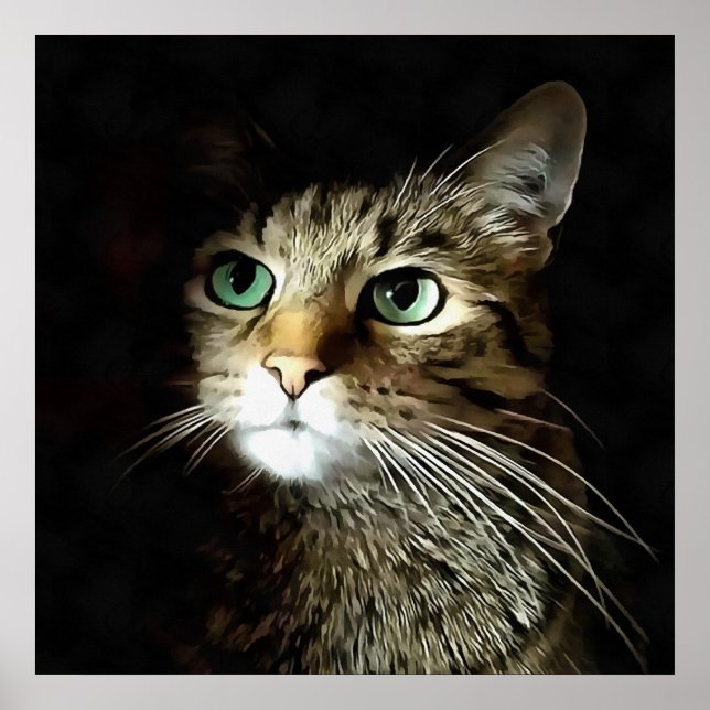 Tabby Cat With Green Eyes Isolated On Black Poster (Front)