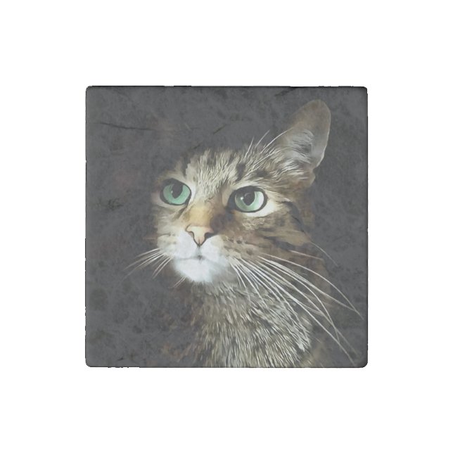 Tabby Cat With Green Eyes Isolated On Black Stone Magnet (Front)