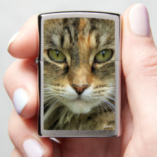 Tabby Cat with Green Eyes Photo Zippo Lighter