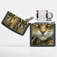 Tabby Cat with Green Eyes Photo Zippo Lighter