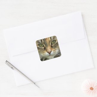 Tabby Cat with Green Eyes Portrait Sticker