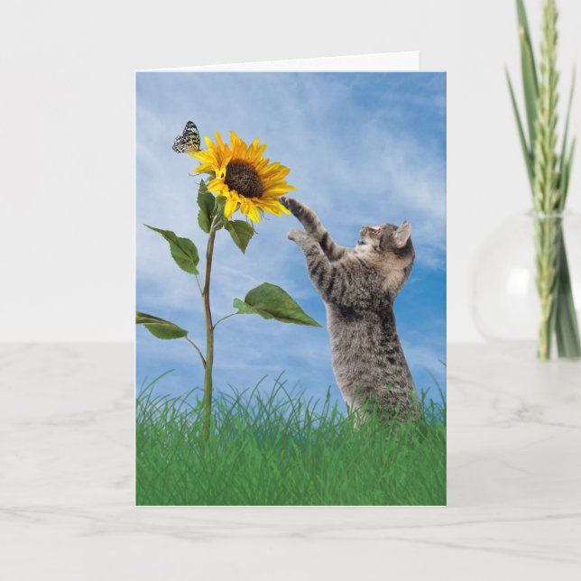Tabby Cat With Sunflower Birthday Card (Front)