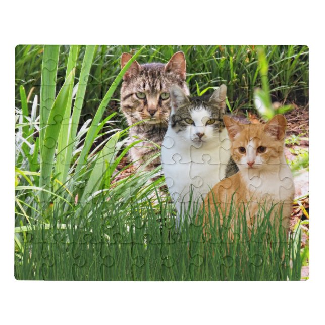 Tabby Cats in Grass Garden Jigsaw Puzzle (Puzzle Horizontal)