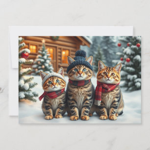 Tabby Cats in Preppy Winter Attire and Hat Winter Holiday Card