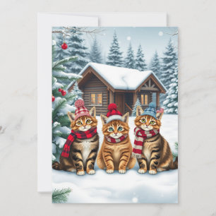 Tabby Cats in Preppy Winter Attire and Hat Winter Holiday Card