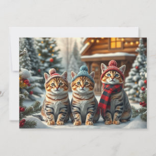 Tabby Cats in Preppy Winter Attire and Hat Winter Holiday Card