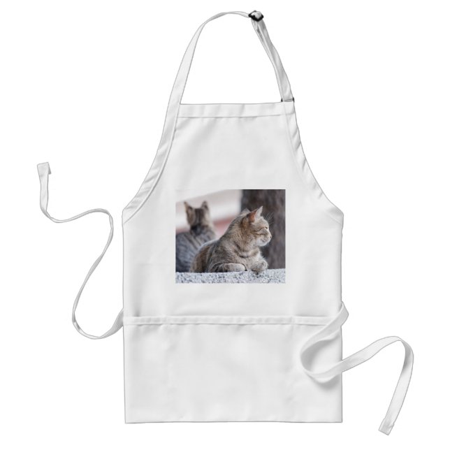 Tabby cats in repose adult apron (Front)
