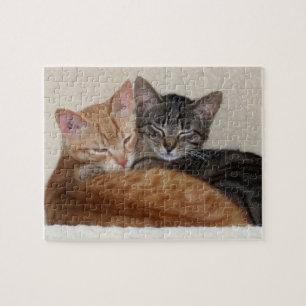 Tabby Cats Jigsaw Puzzle