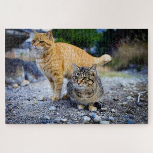 tabby cats puzzle 