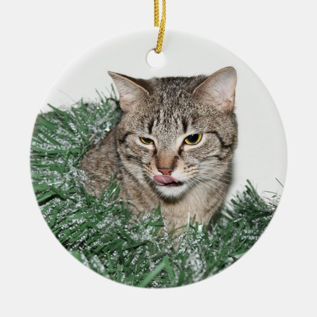 Tabby Christmas Ceramic Ornament (Front)