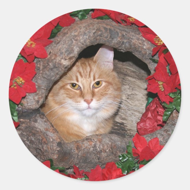 Tabby Christmas Classic Round Sticker (Front)