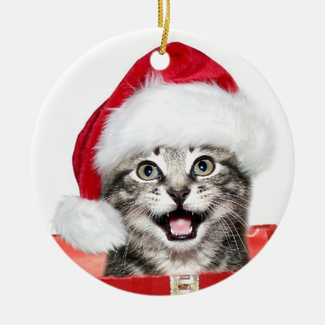 Tabby Christmas kitten Ceramic Ornament (Front)