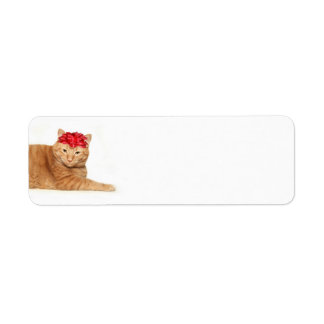 Tabby Christmas Label