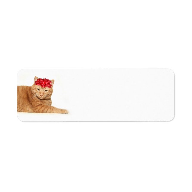 Tabby Christmas Label (Front)