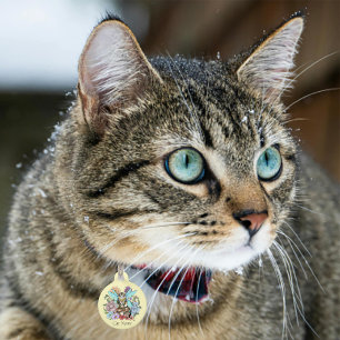 Tabby Fairy Cat Mushroom Floral Pet ID Tag