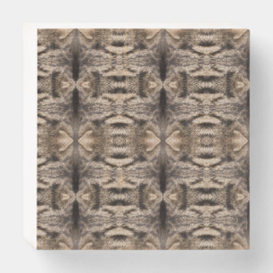 Tabby furry brown geometric art design wooden box sign