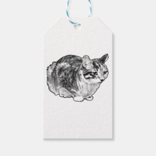 Tabby Gift Tag with Snowy Dots