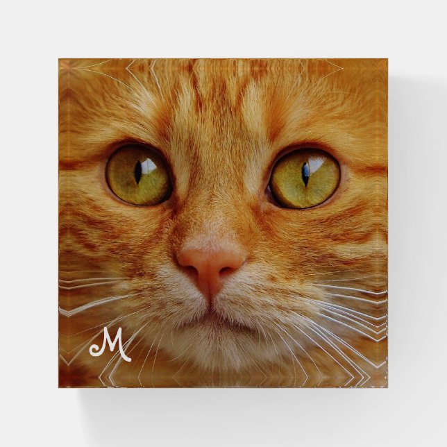 Tabby Ginger Cat and Monogram Paperweight (Front)