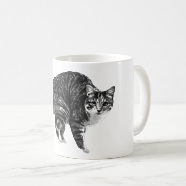 Tabby Glow by Winter Window Coffee Mug (Front Right)