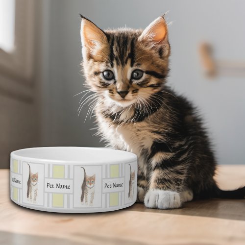 Tabby Kiddy Cat Bowl