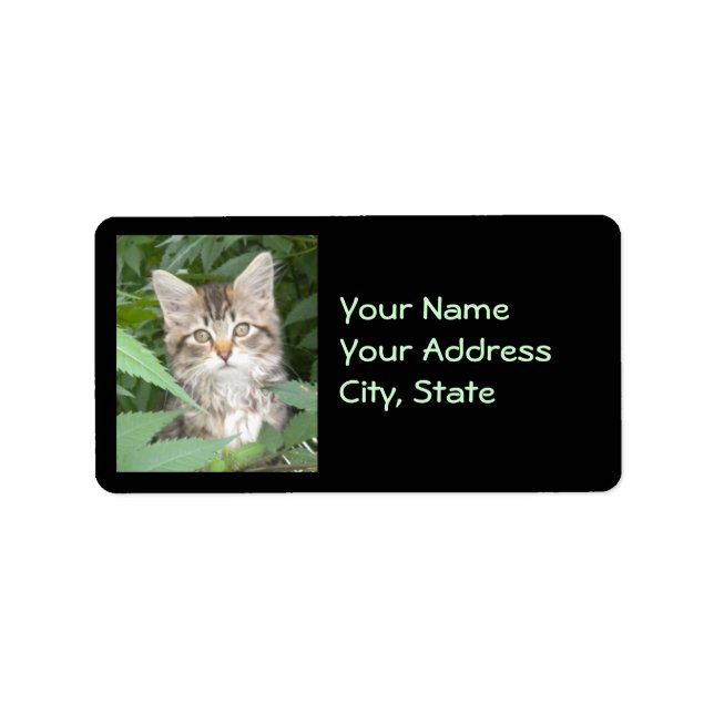 Tabby Kitten Address Labels (Front)