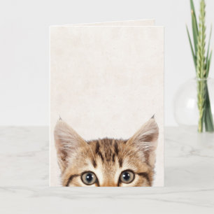 Tabby kitten birthday humor card