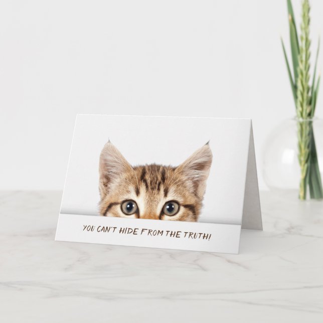 Tabby kitten birthday humor card (Front)