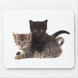 tabby kitten black kitten mouse pad
