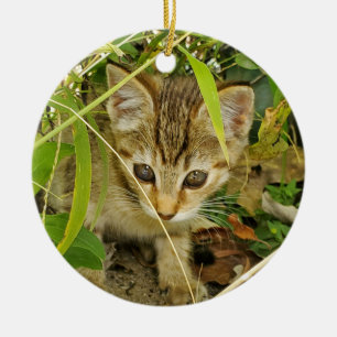 Tabby kitten ceramic ornament