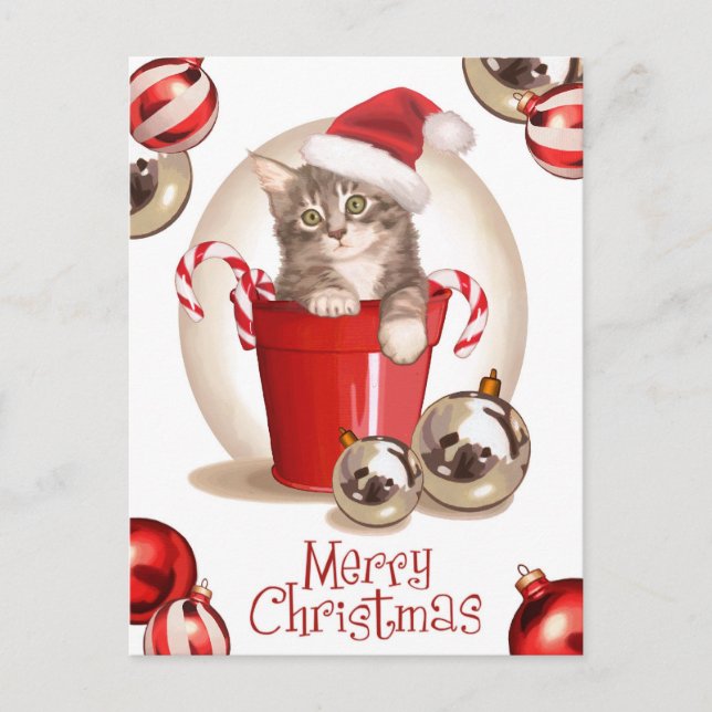 Tabby Kitten Christmas Holiday Postcard (Front)