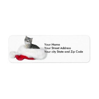 Tabby kitten Christmas Label