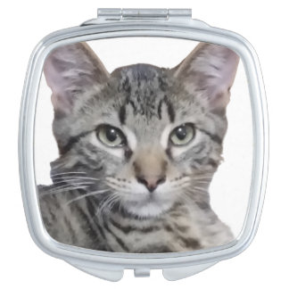 Tabby Kitten Compact Mirror