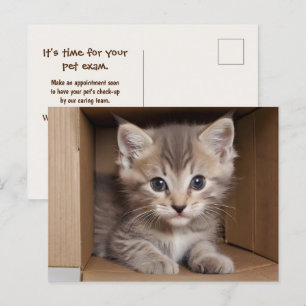 Tabby Kitten For Pet Exam Postcard