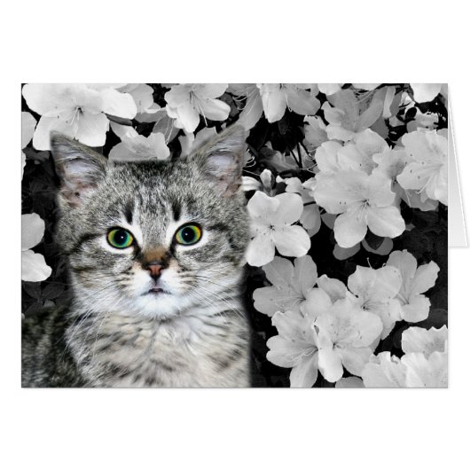 Tabby kitten in azaleas cards (Front Horizontal)