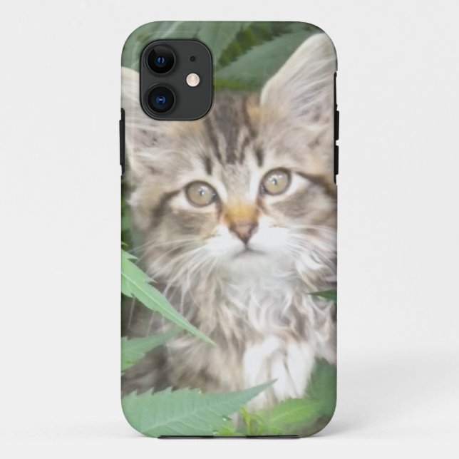 Tabby Kitten iPhone 5 case (Back)